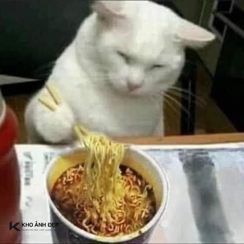 100+ Ảnh meme buồn tâm trạng, hài hước và dễ thương nhất 8 anh meme buon 7