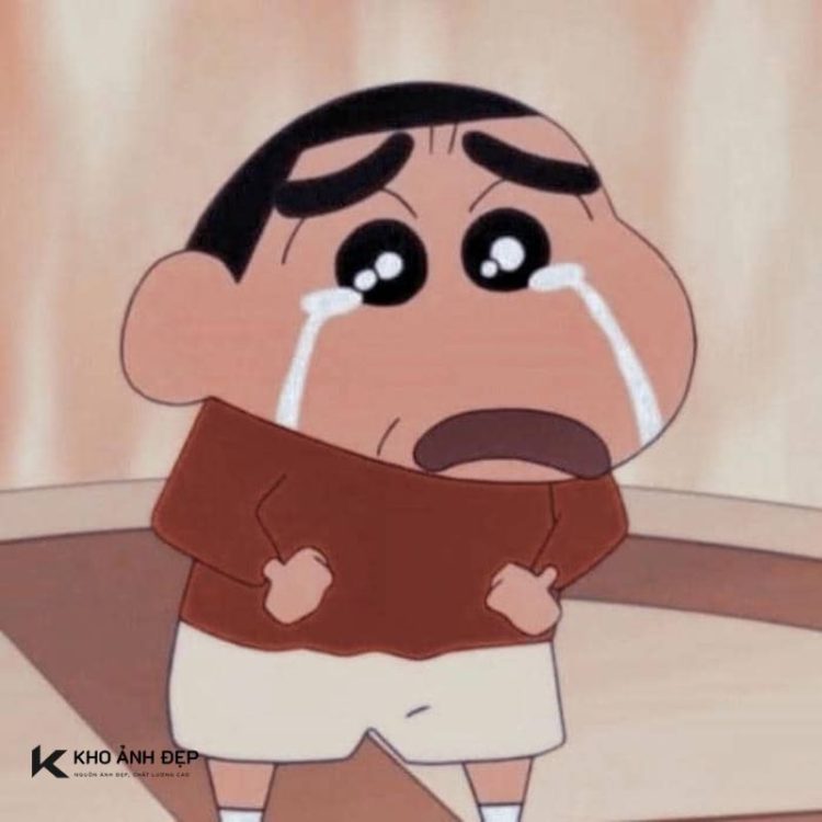 Tổng hợp 20+ ảnh meme buồn hot nhất hiện nay bạn nên biết