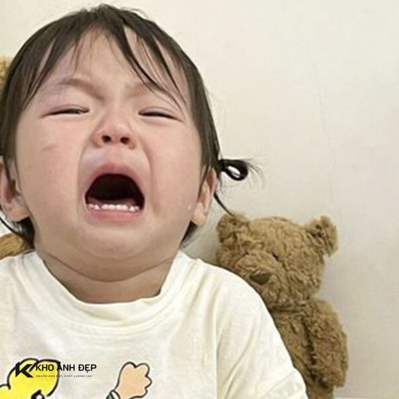 100+ Ảnh meme buồn tâm trạng, hài hước và dễ thương nhất 12 anh meme buon 9