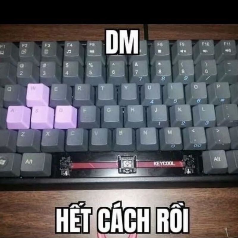 Meme hết cách thú vị