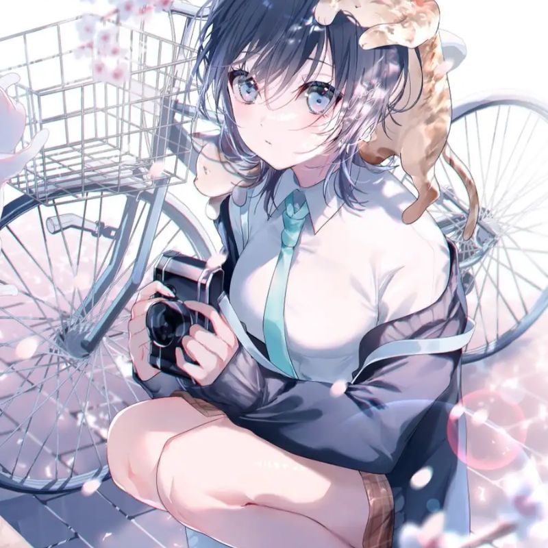 Bộ sưu tập 99+ ảnh anime học sinh ngầu, cute, cá tính 18 Ảnh anime nữ sinh ngồi bên xe đạp dễ thương