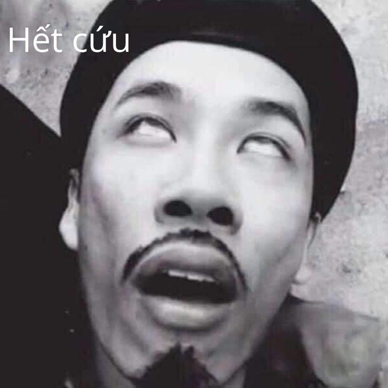 Ảnh hết cứu meme