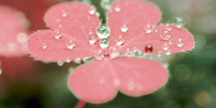 Tải ngay 99+ hình nền không gian 3D cực nét, siêu ấn tượng