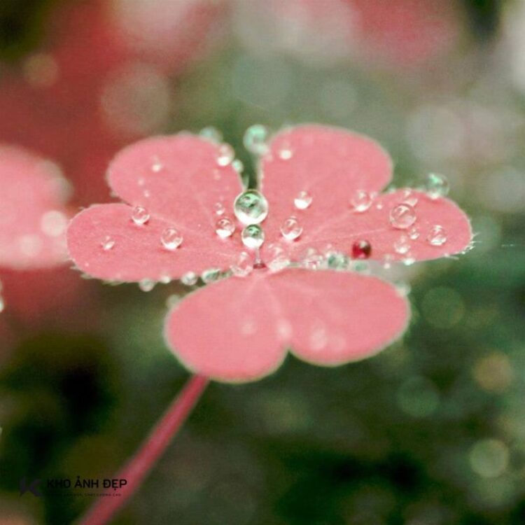 Tải ngay 99+ hình nền không gian 3D cực nét, siêu ấn tượng