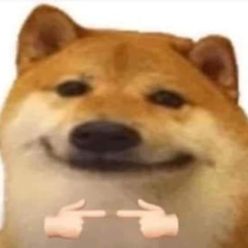 meme chó shiba chỉ tay cute