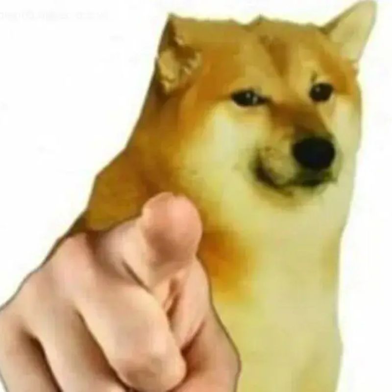 Meme chó shiba chỉ tay