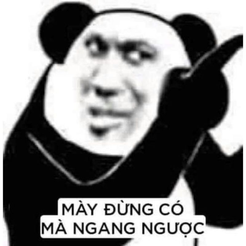 Meme chỉ tay gấu trúc