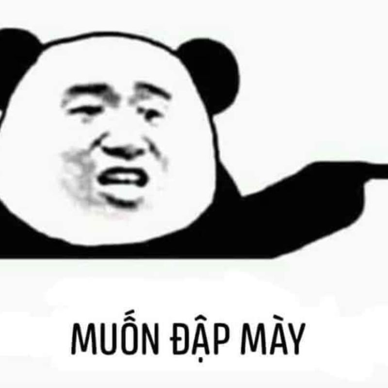 Meme chỉ tay gấu trúc muốn đập mầy