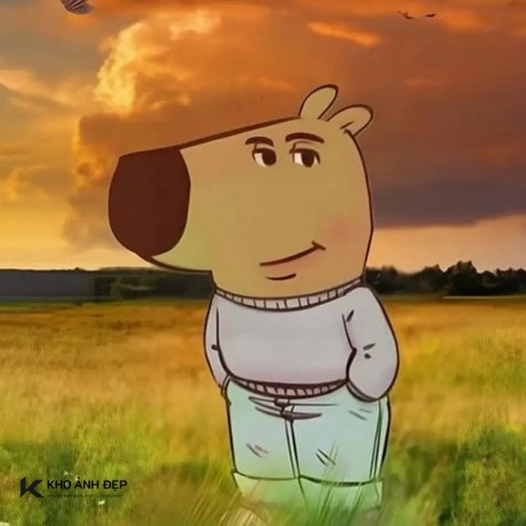 Meme chill guy - Nguồn gốc và những hình ảnh hot nhất hiện nay