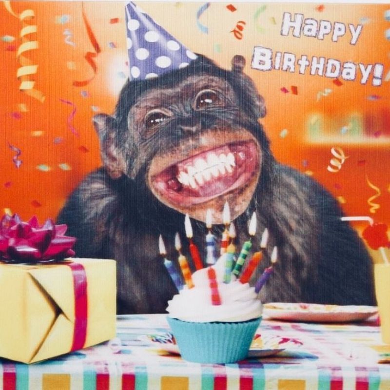 25+ Ảnh meme chúc mừng sinh nhật độc đáo, thú vị và đầy hài hước 2 meme chúc mừng sinh nhật