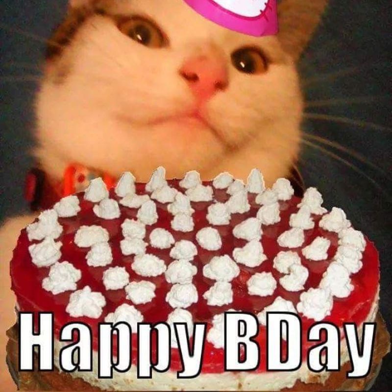 25+ Ảnh meme chúc mừng sinh nhật độc đáo, thú vị và đầy hài hước 11 meme chúc mừng sinh nhật