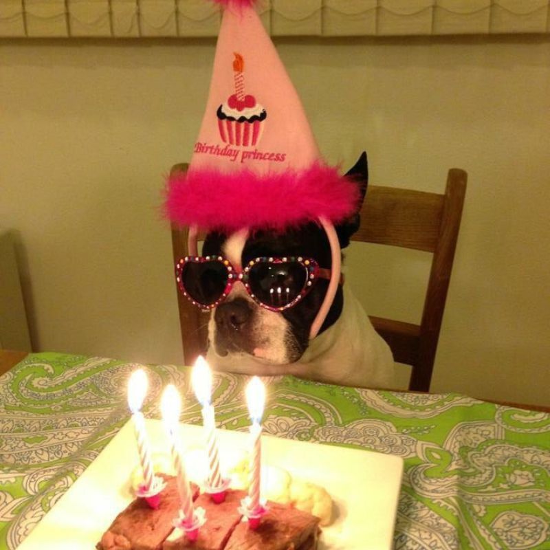 25+ Ảnh meme chúc mừng sinh nhật độc đáo, thú vị và đầy hài hước 12 meme chúc mừng sinh nhật