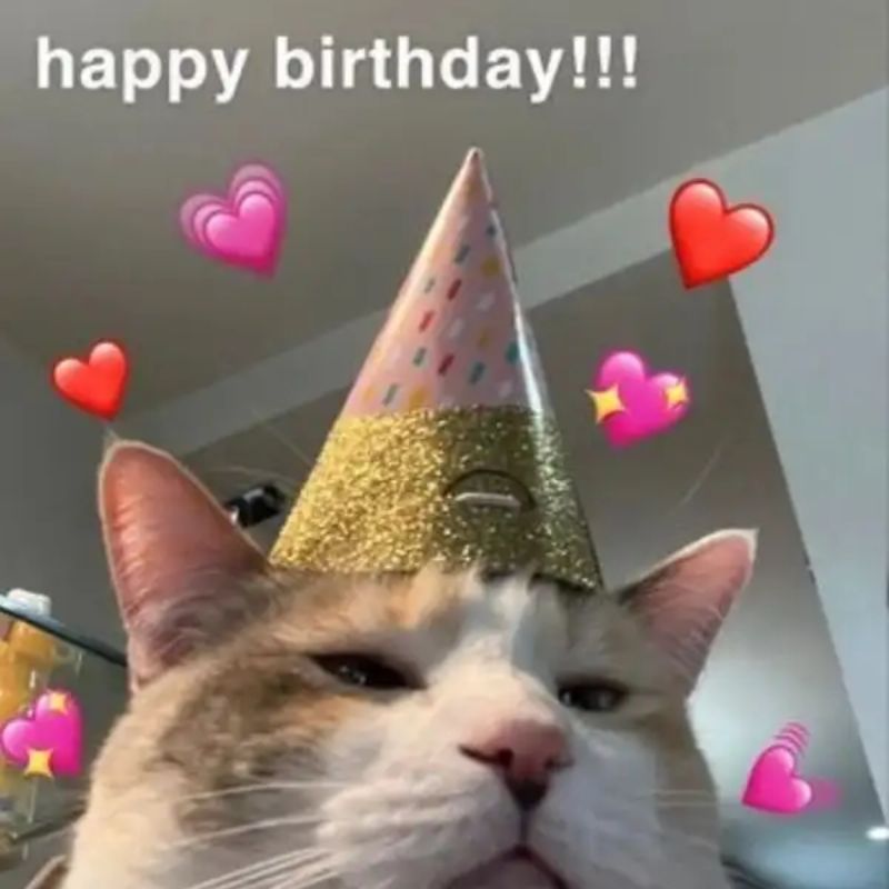 25+ Ảnh meme chúc mừng sinh nhật độc đáo, thú vị và đầy hài hước 13 meme chúc mừng sinh nhật