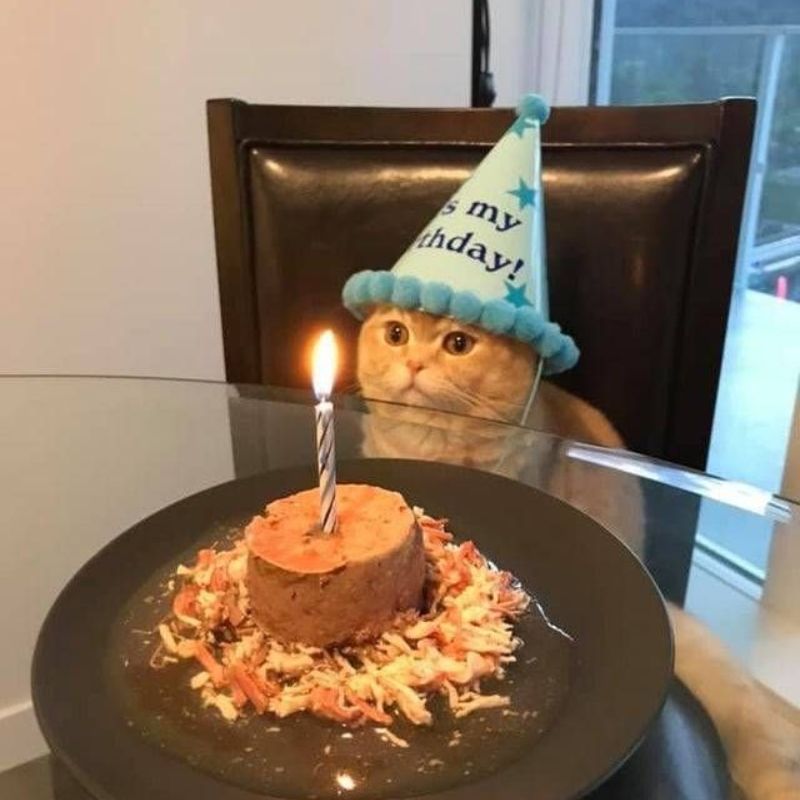 25+ Ảnh meme chúc mừng sinh nhật độc đáo, thú vị và đầy hài hước 8 meme chúc mừng sinh nhật