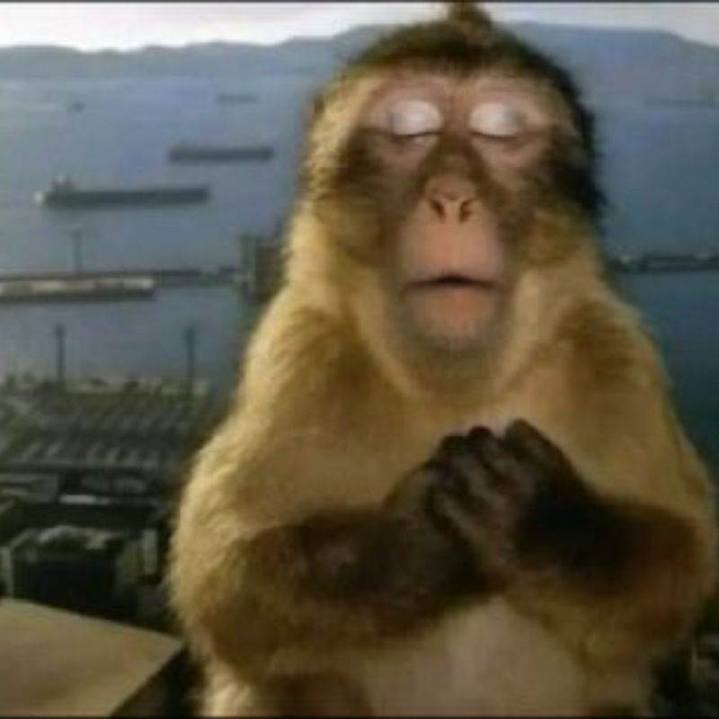 meme con khi suy nghi 35