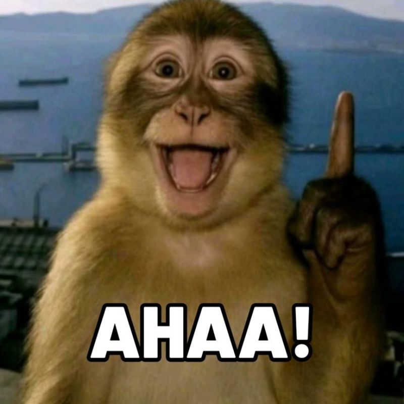 meme con khi suy nghi 37