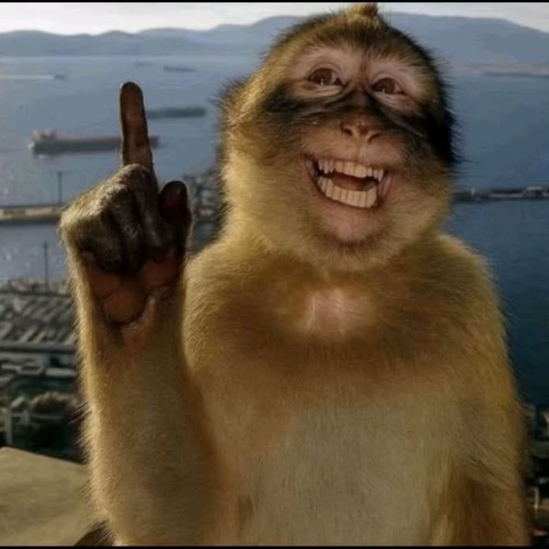 meme con khi suy nghi 90