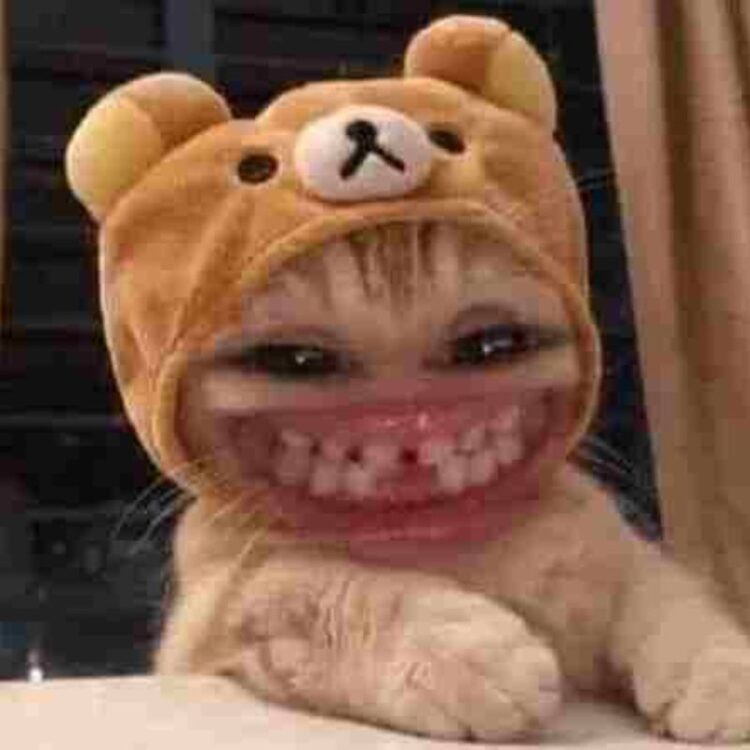 101+ Meme cười đểu giả trân, hài hước khiến ai cũng bật cười