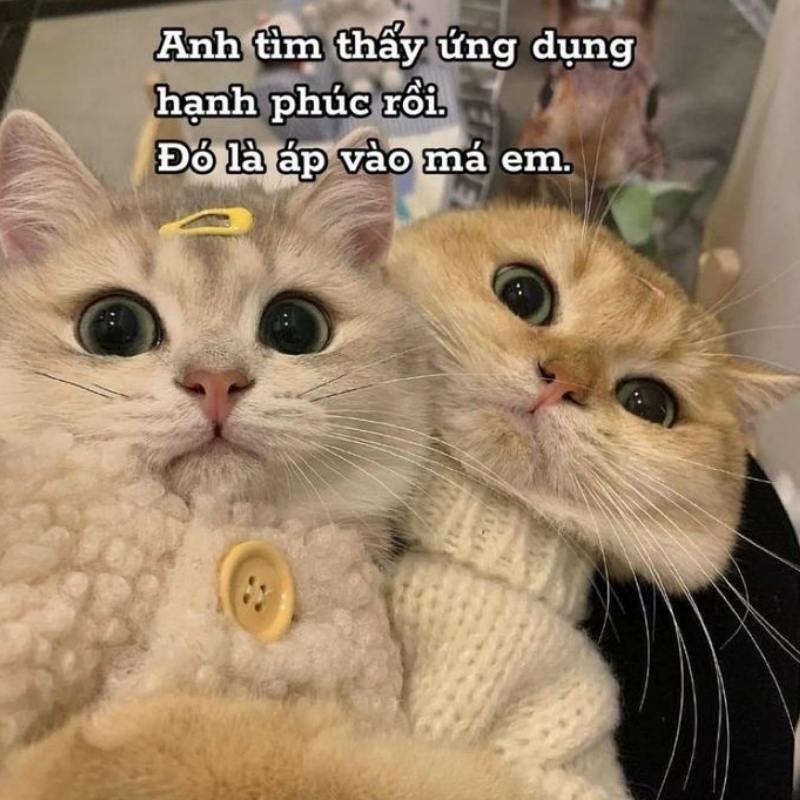 99+ Meme Dark Việt Nam hài hước đầy “tăm tối” của cư dân mạng 17 meme dark về cặp đôi yêu nhau