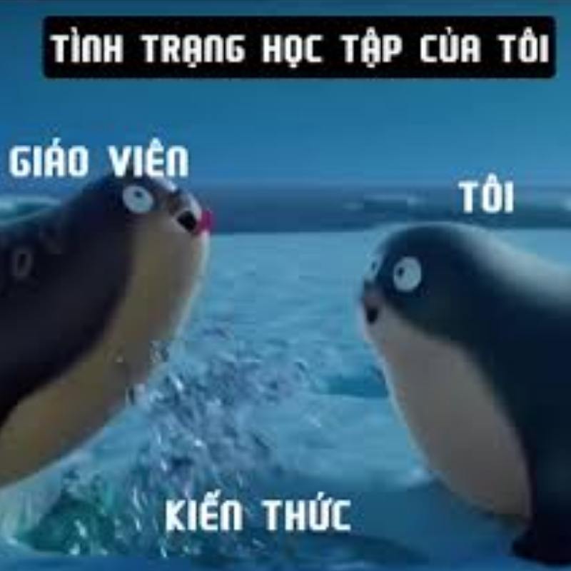 99+ Meme Dark Việt Nam hài hước đầy “tăm tối” của cư dân mạng 21 meme dark về việc học