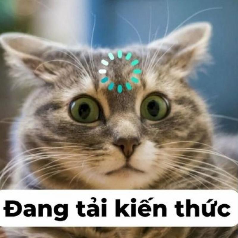 99+ Meme Dark Việt Nam hài hước đầy “tăm tối” của cư dân mạng 20 meme dark về tải kiến thức