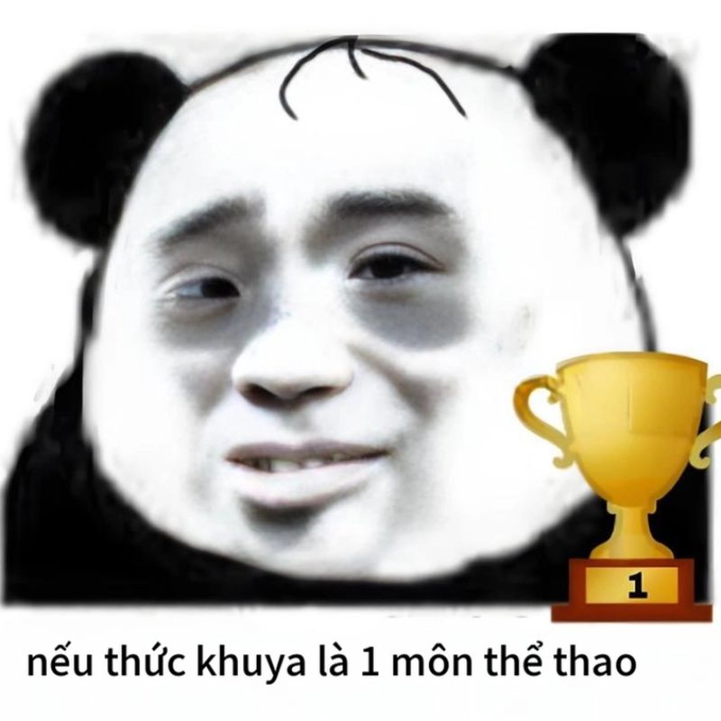 7749+ Meme gấu trúc hài hước, bựa, cà khịa cực hot trên Weibo 9 meme gấu trúc mắt thâm