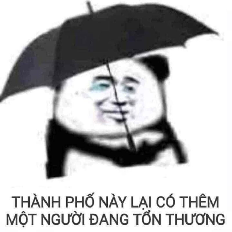 7749+ Meme gấu trúc hài hước, bựa, cà khịa cực hot trên Weibo 29 meme gấu trúc