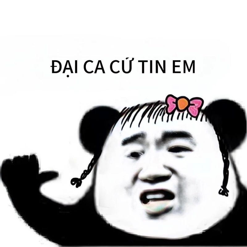 7749+ Meme gấu trúc hài hước, bựa, cà khịa cực hot trên Weibo 20 meme gấu trúc