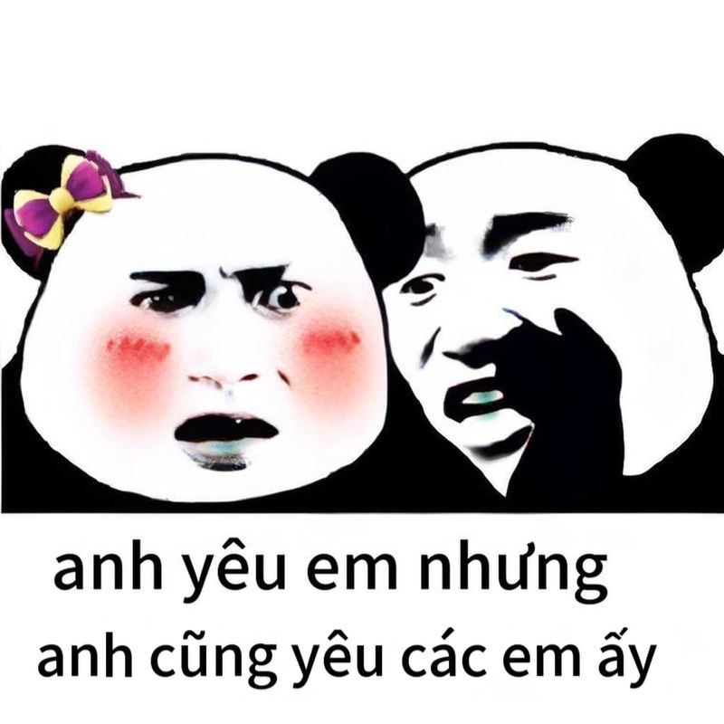 7749+ Meme gấu trúc hài hước, bựa, cà khịa cực hot trên Weibo 25 meme gấu trúc