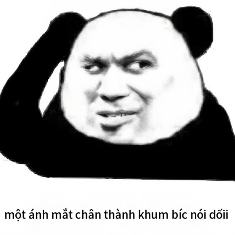 7749+ Meme gấu trúc hài hước, bựa, cà khịa cực hot trên Weibo 24 meme gấu trúc