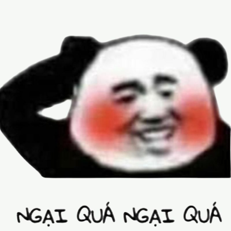 7749+ Meme gấu trúc hài hước, bựa, cà khịa cực hot trên Weibo 4 meme gấu trúc