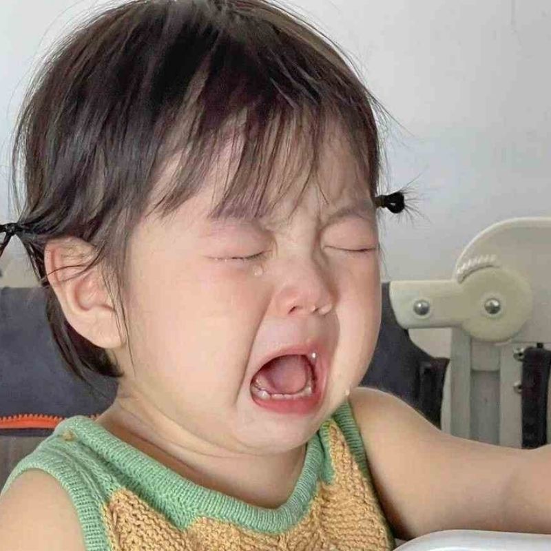 99+ Meme Khóc Hài Hước, Cười Ra Nước Mắt Cực Viral 31 meme khóc cô bé nhỏ