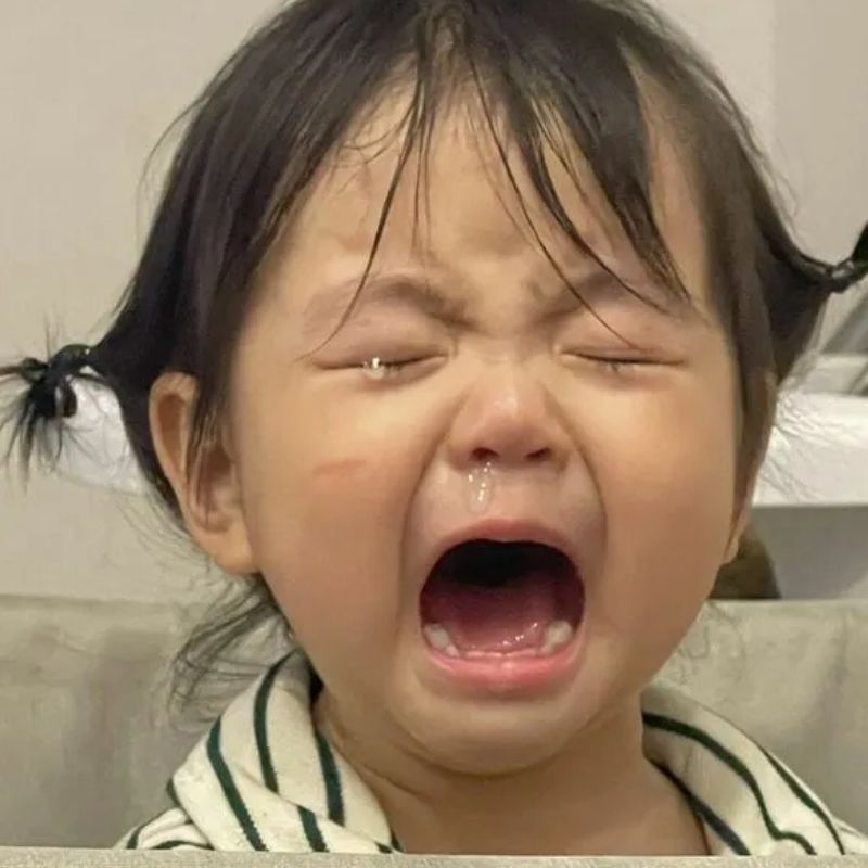 99+ Meme Khóc Hài Hước, Cười Ra Nước Mắt Cực Viral 30 meme khóc bé đáng yêu