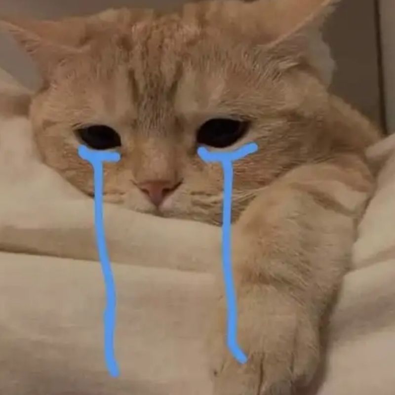 99+ Meme Khóc Hài Hước, Cười Ra Nước Mắt Cực Viral 7 Meme khóc hình mèo đáng yên