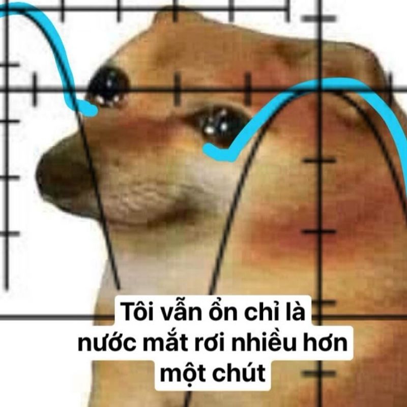 99+ Meme Khóc Hài Hước, Cười Ra Nước Mắt Cực Viral 12 meme khóc của chó