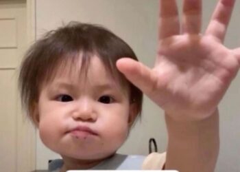 Meme là gì? Tất tần tật các thông tin liên quan đến “meme”