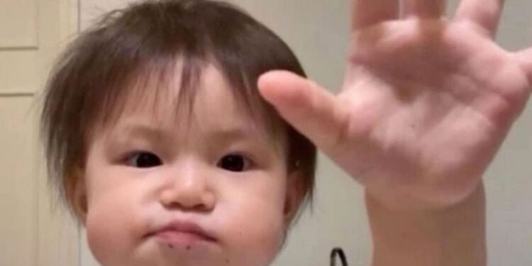 Meme là gì? Tất tần tật các thông tin liên quan đến “meme”