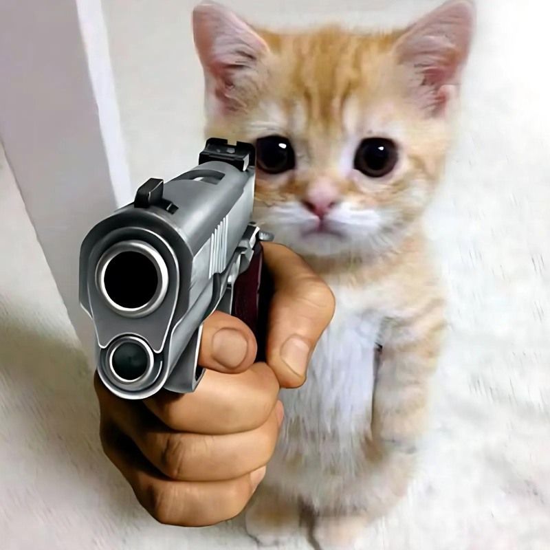 Bộ sưu tập meme mèo cười đáng yêu, hài hước, khó đỡ nhất 21 Meme con mèo tay cầm súng