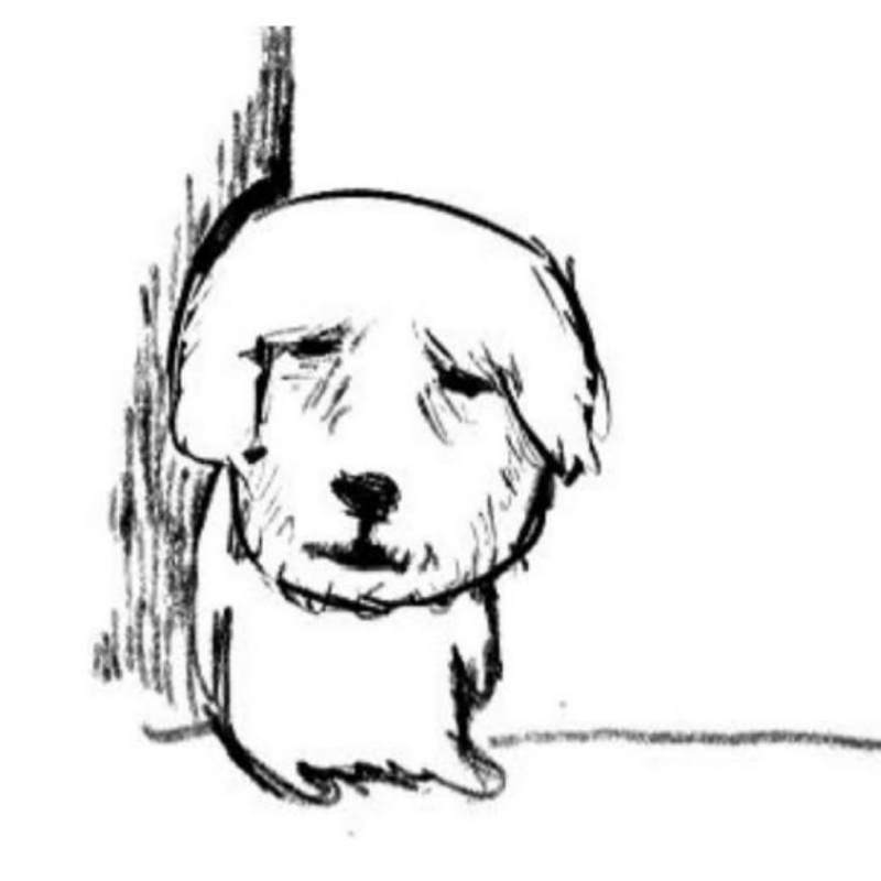 Top 100+ meme mệt mỏi siêu hài hước, thú vị và cười rớt nước mắt 9 Meme chú chó mệt mỏi