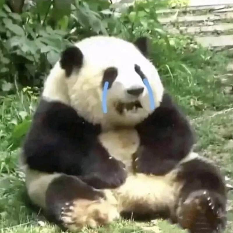 Top 100+ meme mệt mỏi siêu hài hước, thú vị và cười rớt nước mắt 21 meme met moi 25