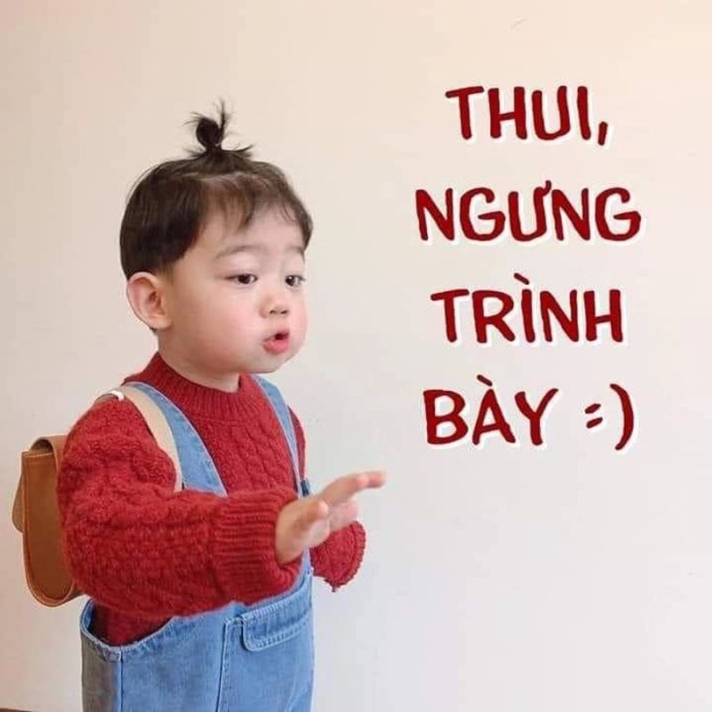 99+ Meme Nín hài hước cực chất khiến cộng đồng mạng bật cười 17 meme nín