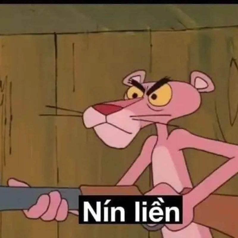 99+ Meme Nín hài hước cực chất khiến cộng đồng mạng bật cười 11 meme nín