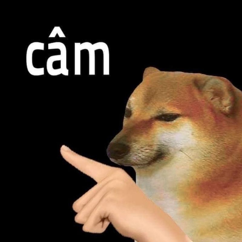 99+ Meme Nín hài hước cực chất khiến cộng đồng mạng bật cười 21 Meme chú chó nói nín sáng tạo