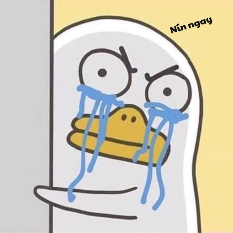 99+ Meme Nín hài hước cực chất khiến cộng đồng mạng bật cười 5 Meme vừa nói nín vừa khóc bá đạo