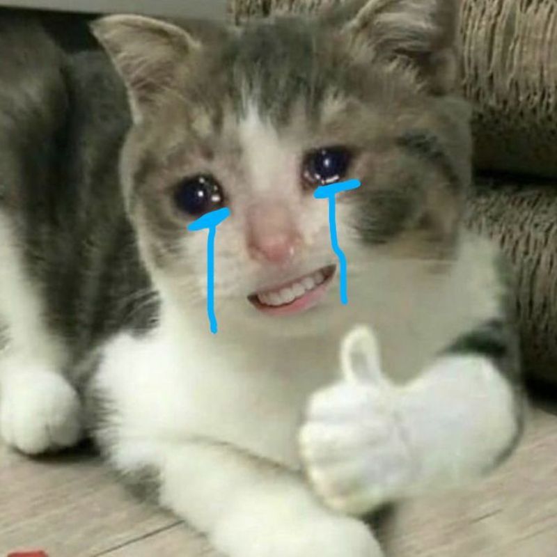 Trọn bộ 100+ meme nổi tiếng hài hước khiến giới trẻ phát sốt 20 meme noi tieng 19