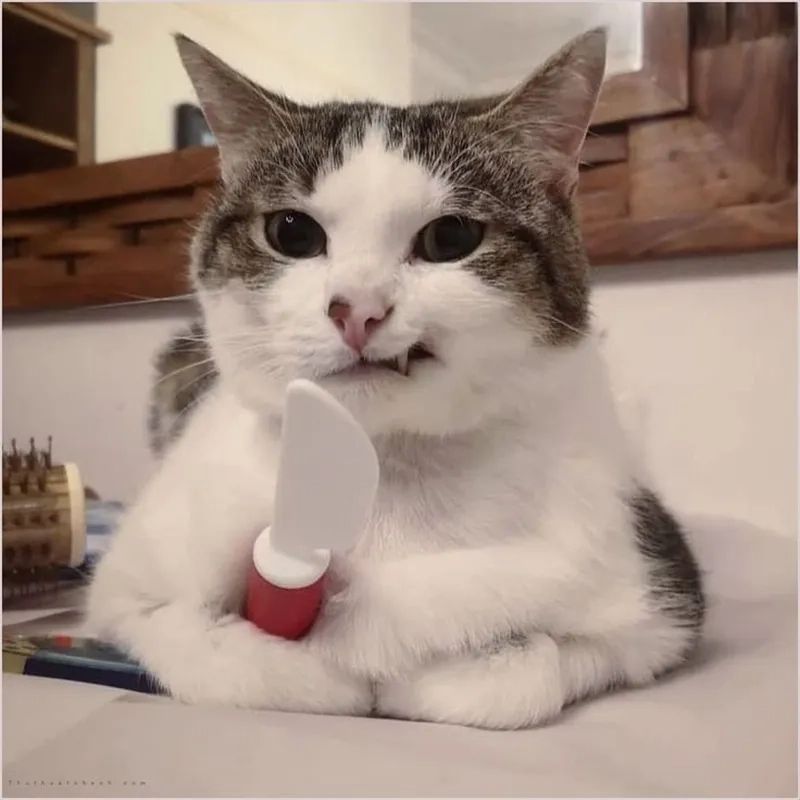 Trọn bộ 100+ meme nổi tiếng hài hước khiến giới trẻ phát sốt 21 meme noi tieng 20