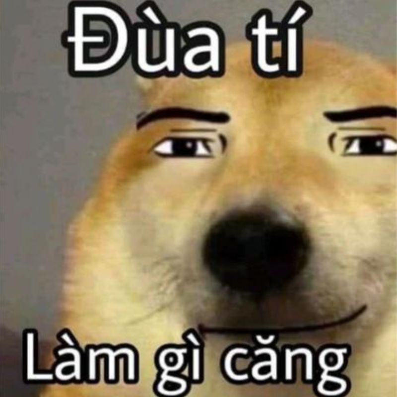Trọn bộ 100+ meme nổi tiếng hài hước khiến giới trẻ phát sốt 31 meme noi tieng 31
