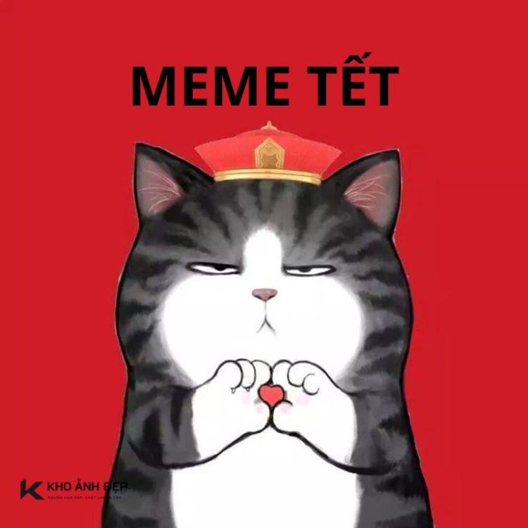 Bộ sưu tập 400+ meme Tết hài hước, độc đáo để vui cả ngày xuân
