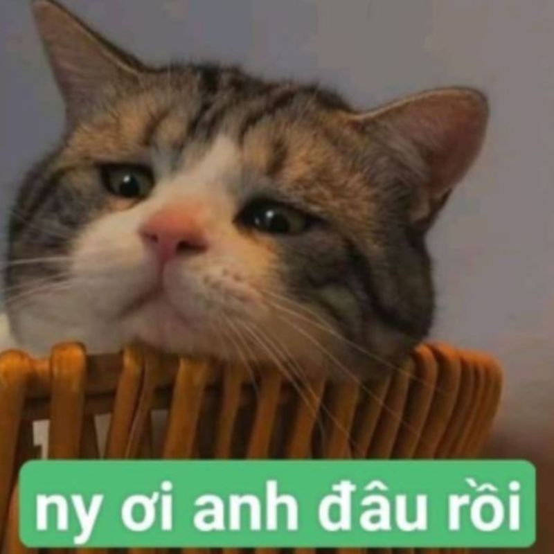 25+ Meme tình yêu hài hước, cute, đáng yêu nhất cho các cặp đôi 12 Meme với biểu cảm u sầu về tình cảm