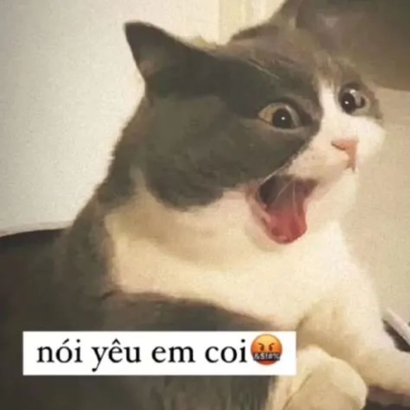 25+ Meme tình yêu hài hước, cute, đáng yêu nhất cho các cặp đôi 4 Meme dễ thương về tình yêu